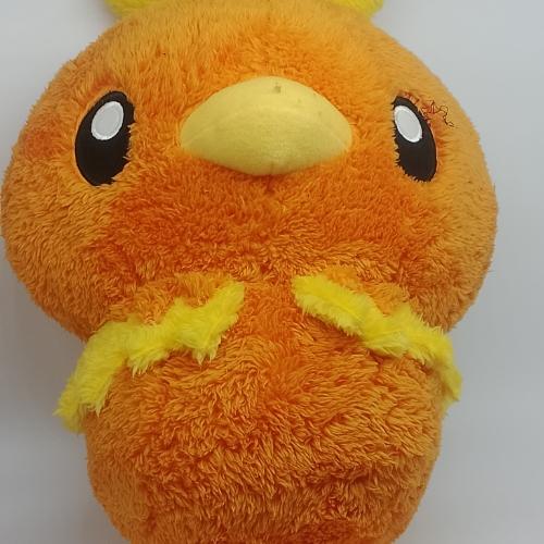 Torchic