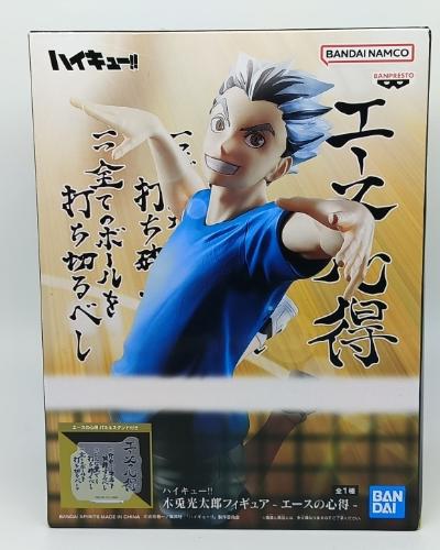 Kotaro Bokuto