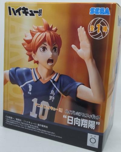 Shoyo Hinata