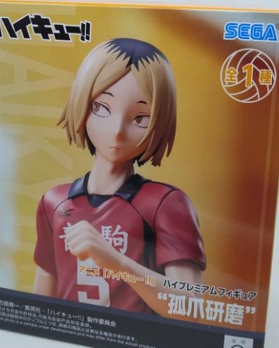 Kenma Kozume Sega