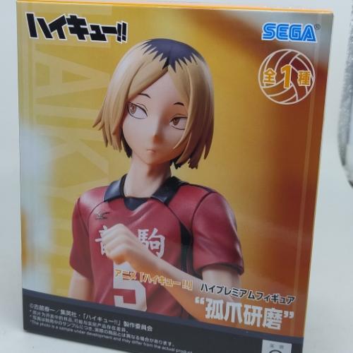 Kenma Kozume Sega